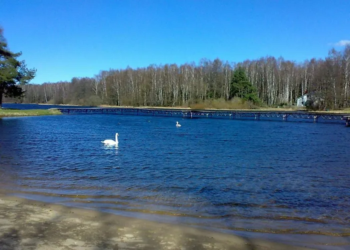 Single-story Close To The